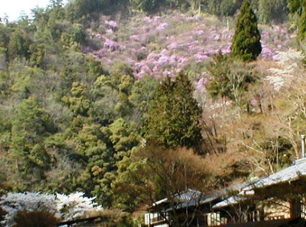 קיוטו Takao Kanko Hotel מראה חיצוני תמונה